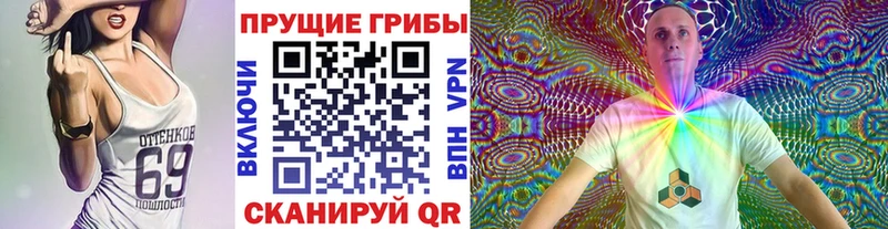 Псилоцибиновые грибы мухоморы  Нальчик 