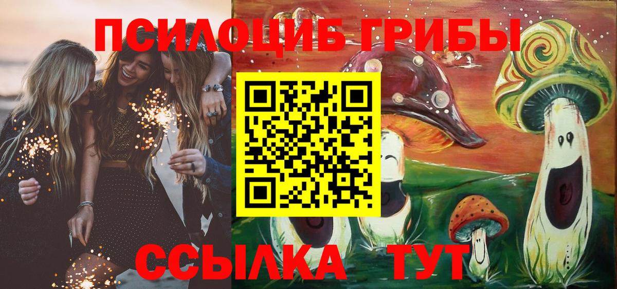 Галлюциногенные грибы мухоморы  Псилоцибиновые грибы Psilocybe  что такое   Вход с VPN  Нальчик 